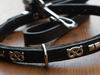 First quality collars and leashes