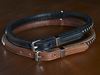 Collars and leads for bull breed